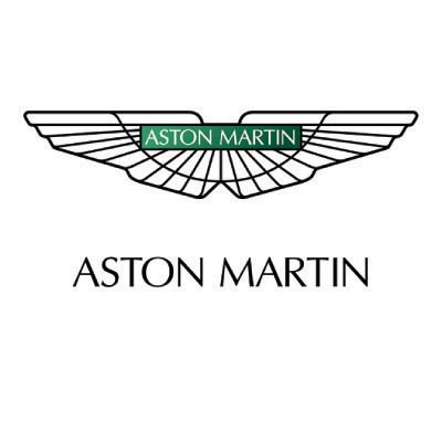 Custom aston martin logo iron on transfers (Decal Sticker) No.100124